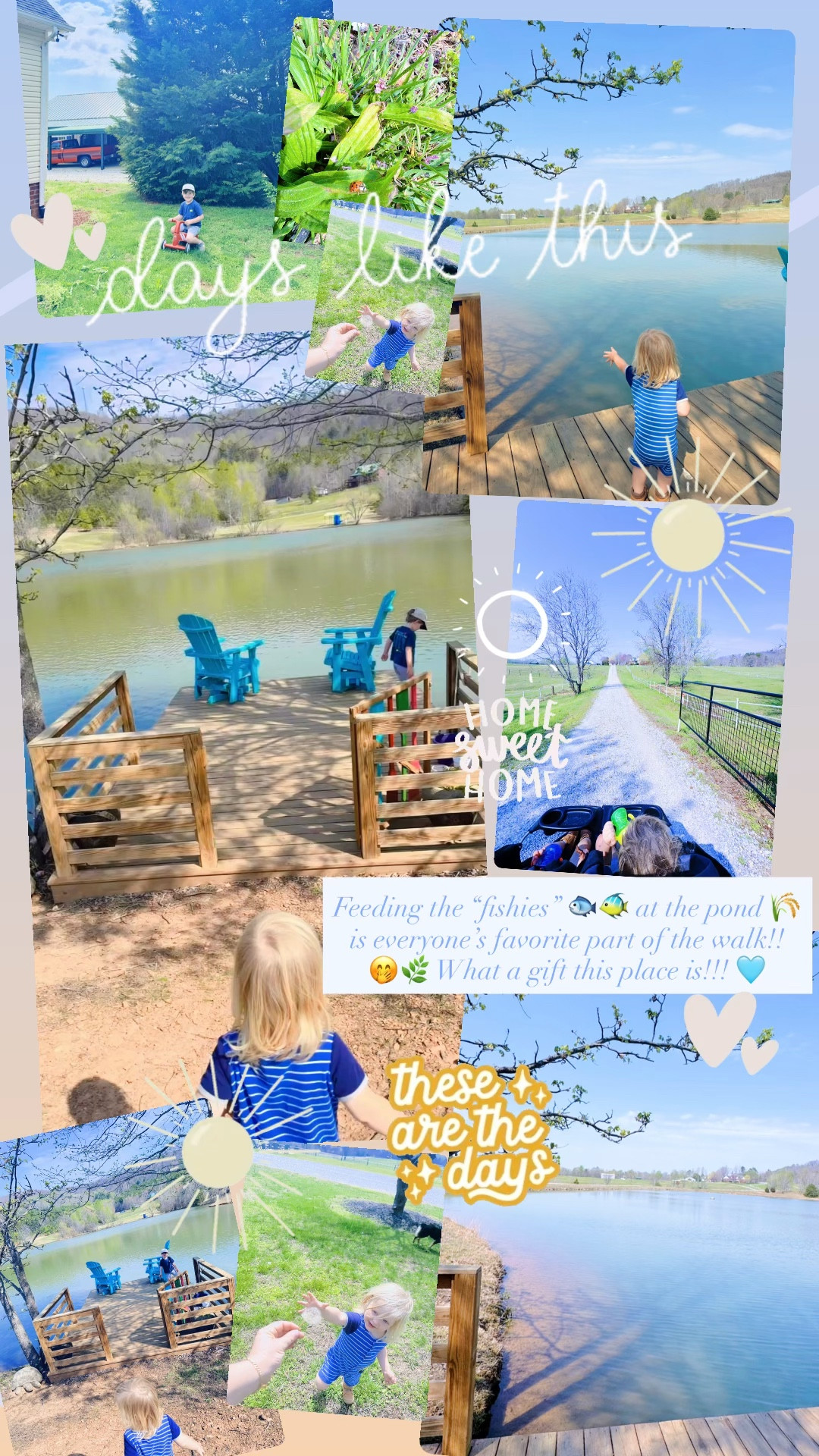 Feeding the “fishies” 🐟🐠 at the pond 🌾 is everyone’s favorite part of the walk!! 🤭🌿 What a gift this place is!!! 🩵