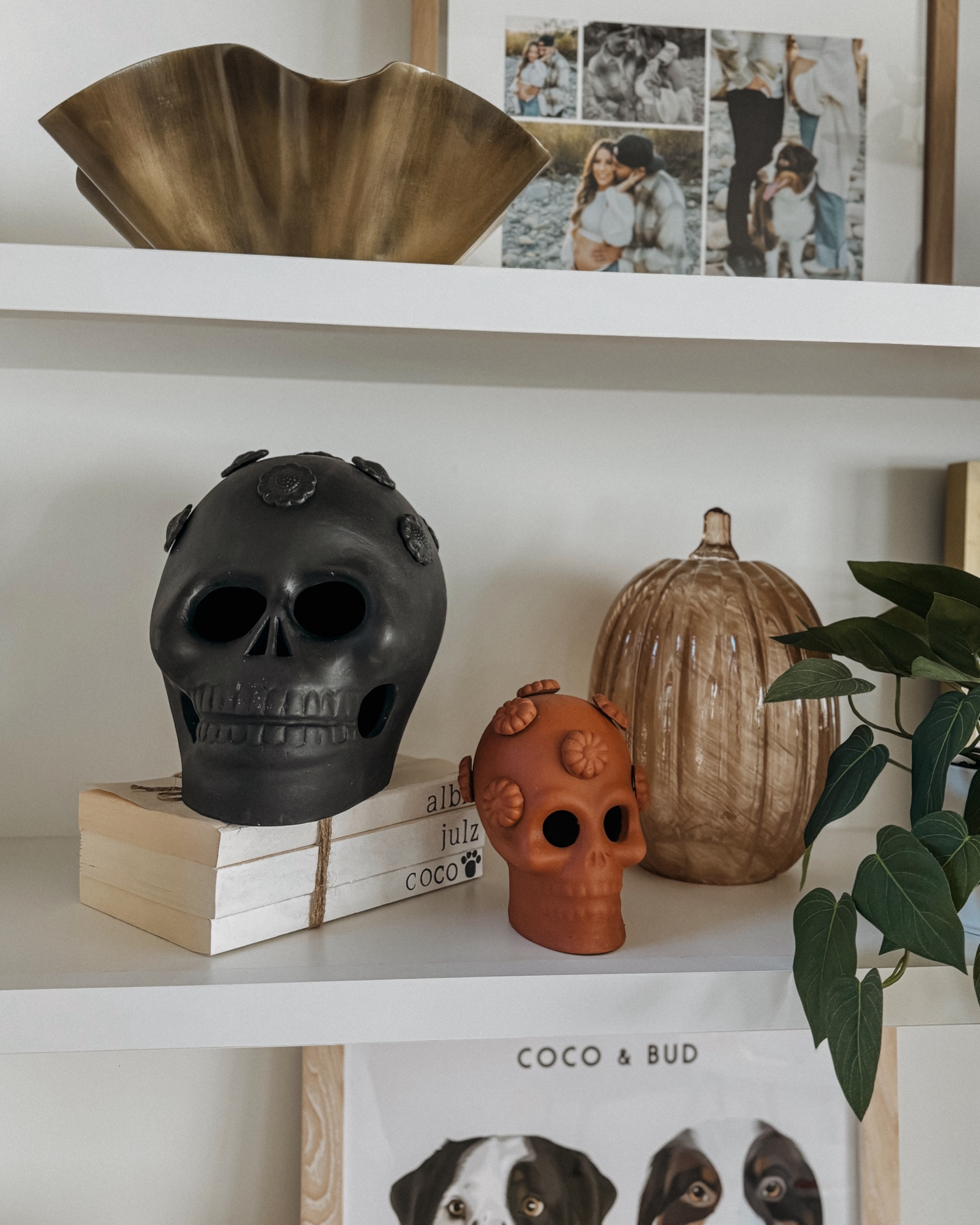 Halloween skeleton decor
Halloween home decor
Halloween shelf decor
Halloween table decor
Target home decor
West elm
Glass pumpkin
Gold bowl
Faux plant



#LTKSeasonal #LTKHome #LTKSaleAlert