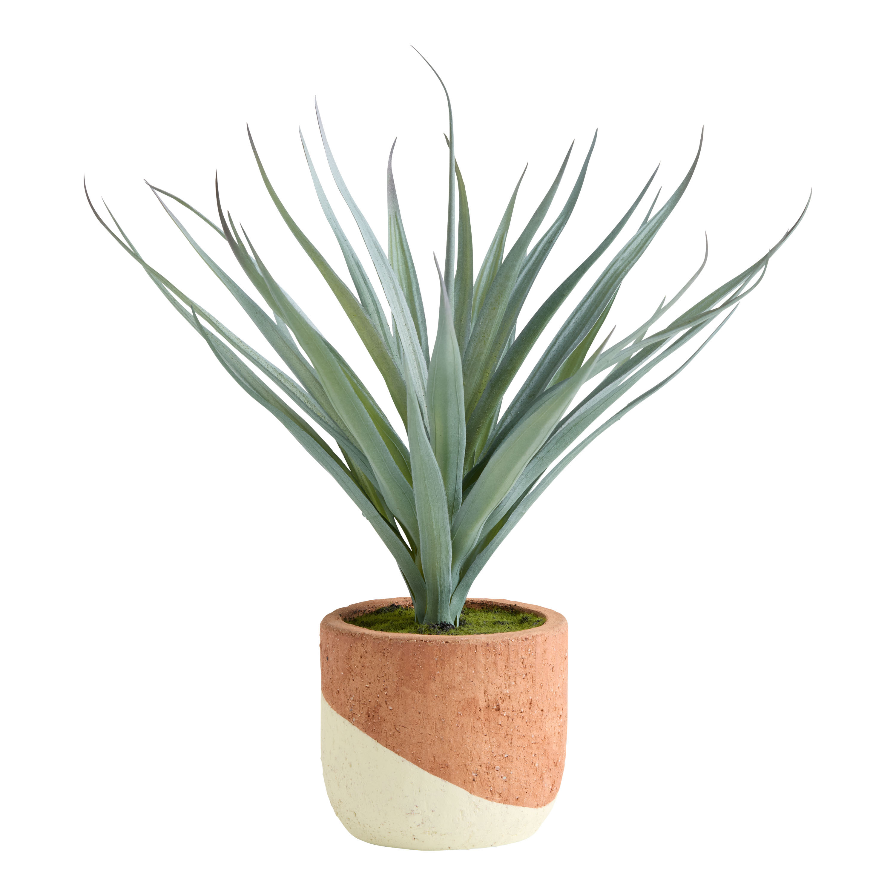 Faux Agave Plant in Ivory and Terracotta Ceramic Pot | World Market