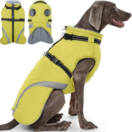 QBLEEV Dog Coat for Large Dogs, XL Dog Jacket for Winter Snow Waterproof with Built-in D-Ring Harness, Reflective Warm Thick Fleece Safety Vest, Cold Weather Snowsuit with Zip, Green, XL | Amazon (US)