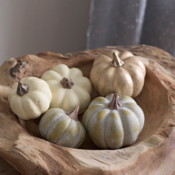 Golden Naturals Pumpkin Filler | Kirklands | Kirkland's Home