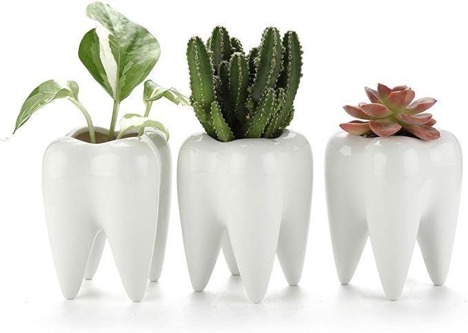 T4U Small Cute Tooth Planter Succulent Pots -Teeth Pencil Holder Office Organizer Gift for Dentis... | Amazon (US)
