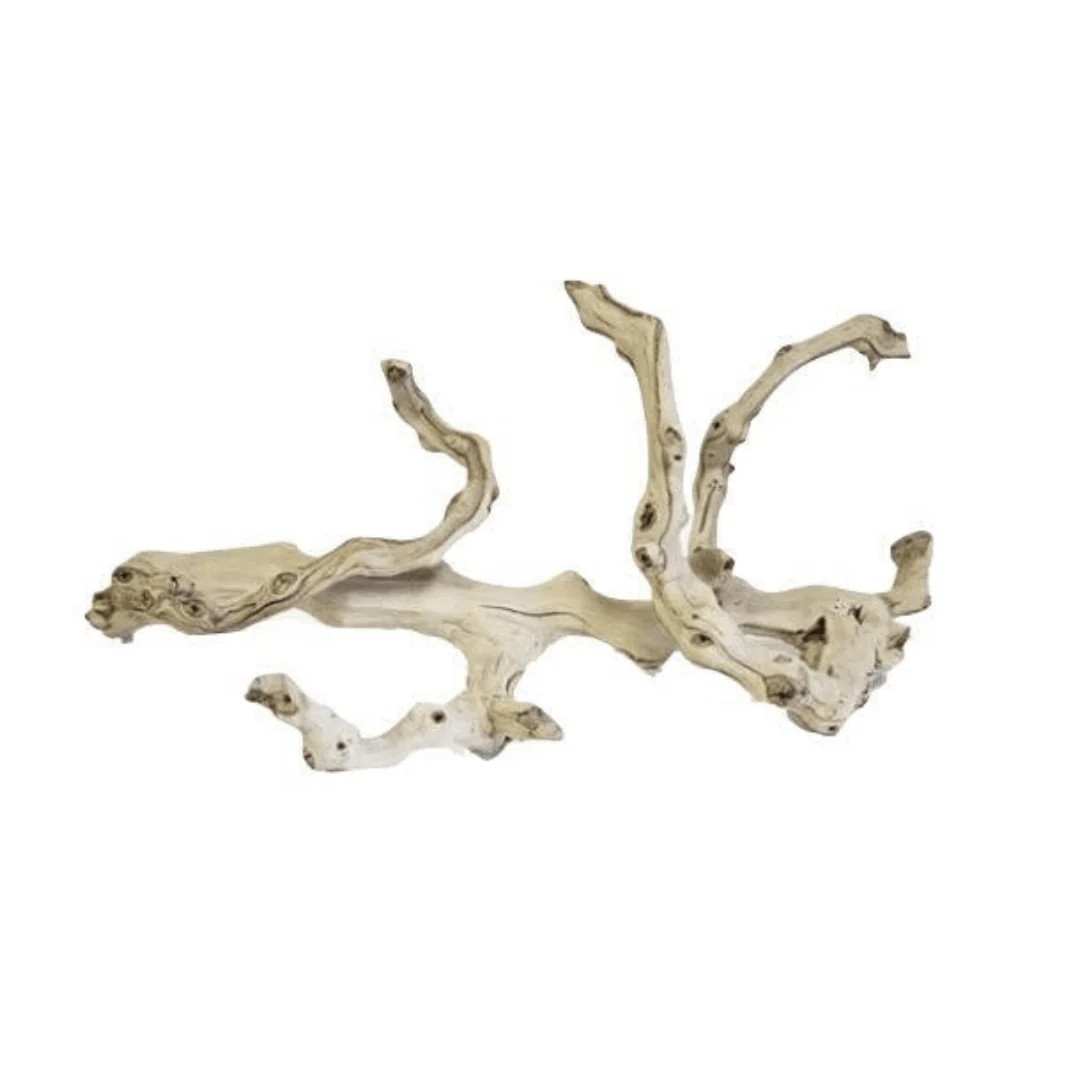 Twisted Wood Branch | Megan Molten