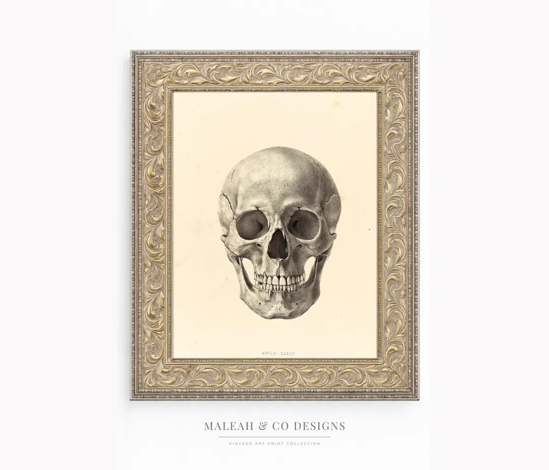 Vintage Skull Anatomy Print: Gothic Halloween Wall Art (digital Download) - Etsy | Etsy (US)