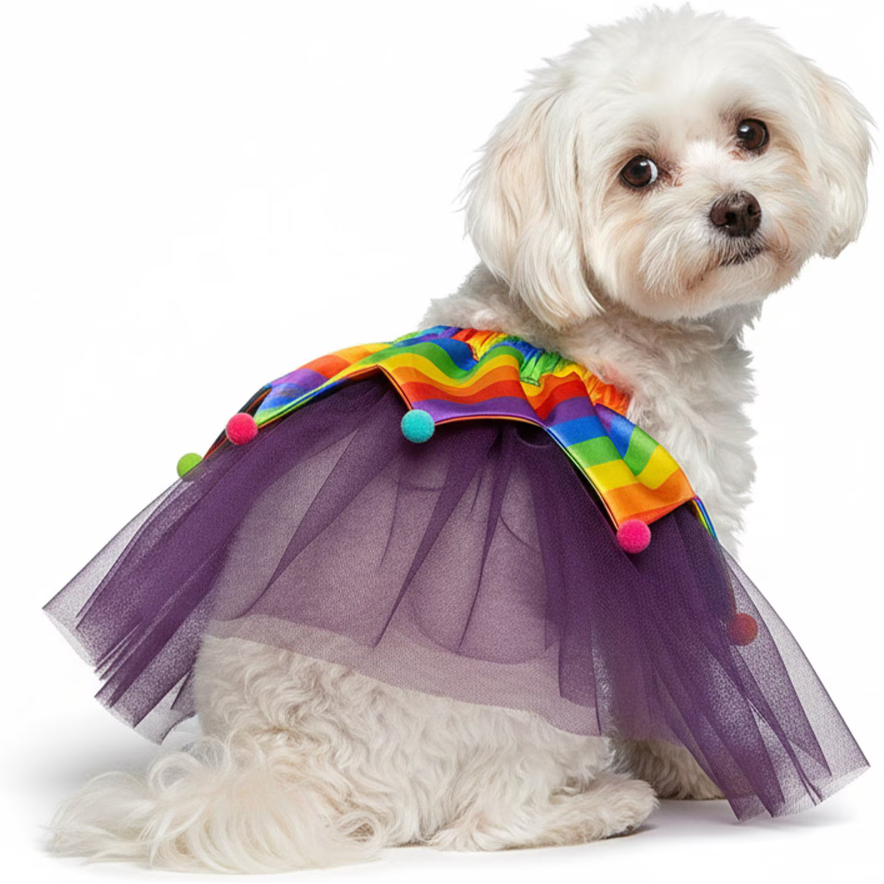 CELEBRATIONS Birthday Tutu Dog Costume, X-Small/Small | Chewy