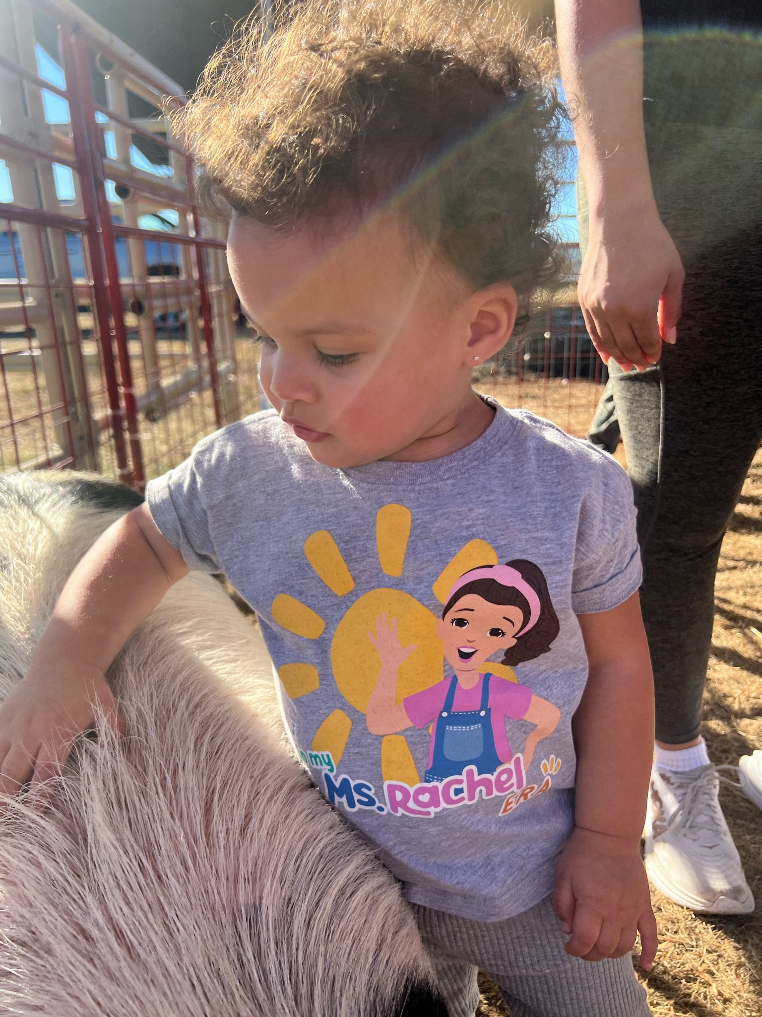 Ms Rachel Tshirt 

#LTKkids #LTKbaby #LTKsalealert