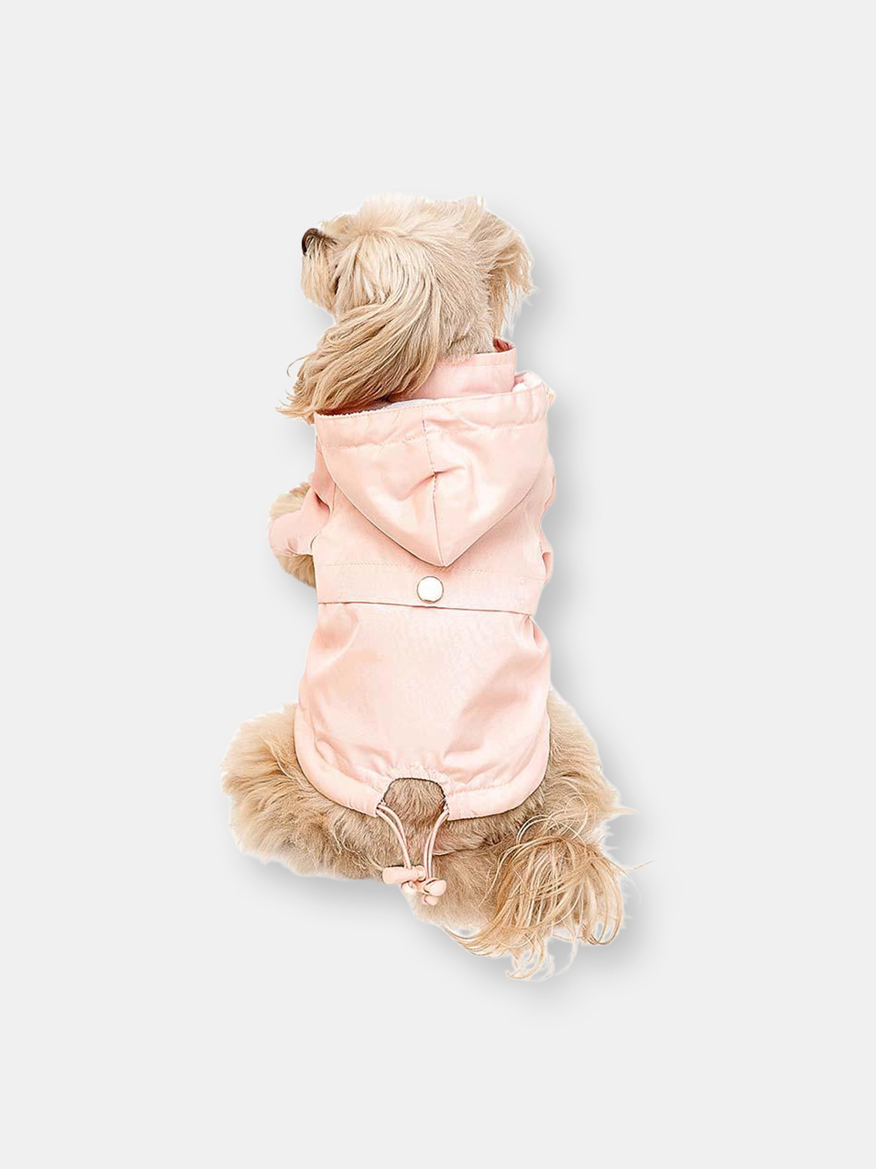 Dog Raincoat - M - Also in: XS, XL, S, L, XXL | Verishop