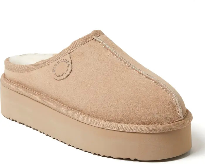 Fireside Queenstown Genuine Shearling Platform Clog Slipper (Women) | Nordstrom
