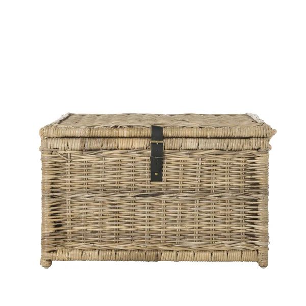 Ammann Wicker Trunk | Wayfair Professional