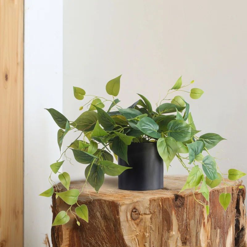 Faux Foliage Plant in Ceramic Pot | Wayfair North America