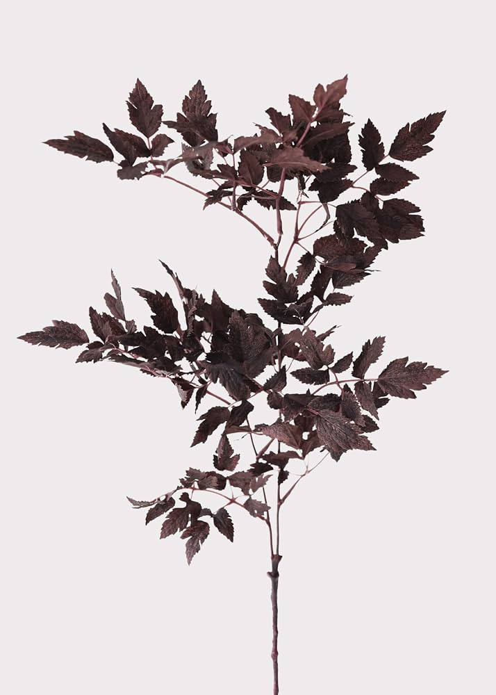 Afloral Plum Fake Cimicifuga Ramosa Leaves - 31" | Amazon (US)