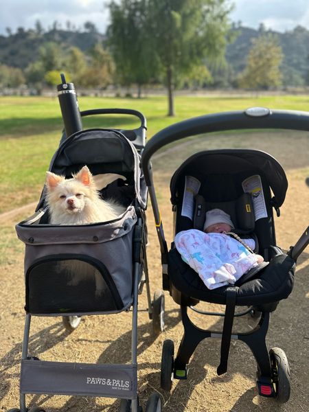 Stroller squad. The perfect pet and baby strollers for a quick trip. 

#LTKtravel #LTKbaby #LTKkids