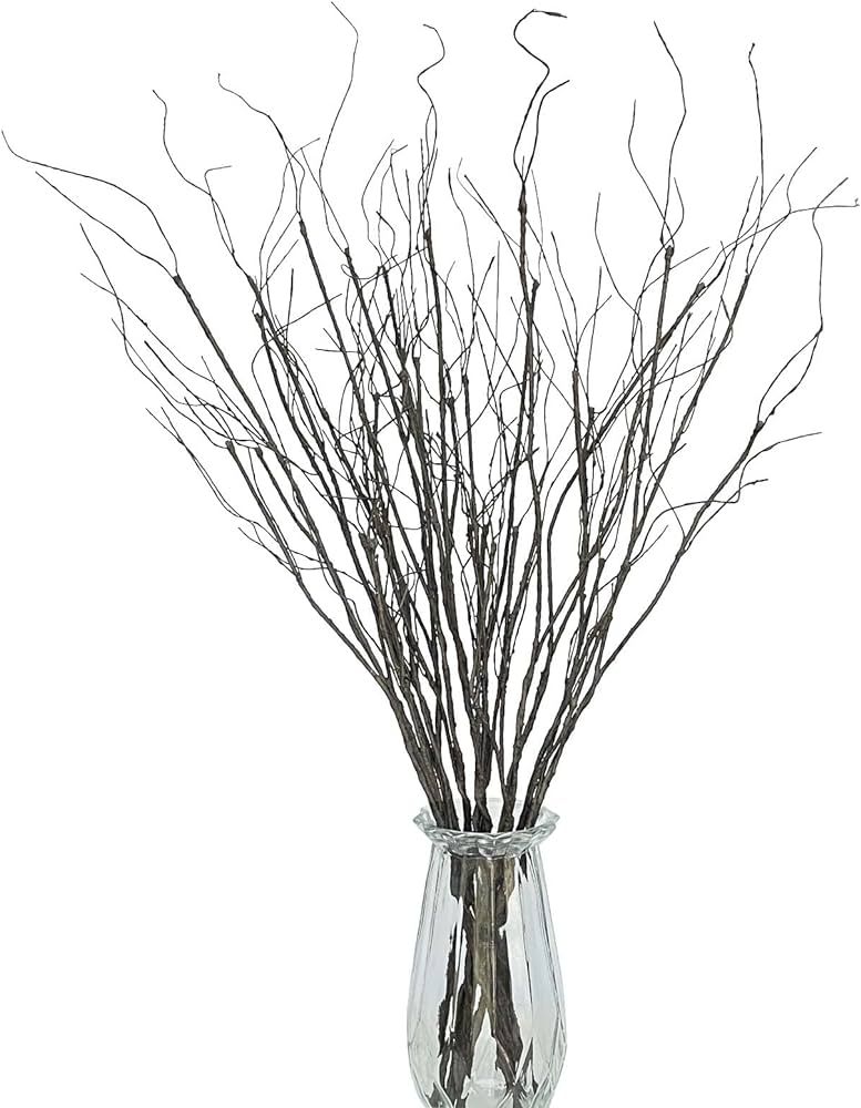 10Pcs 30.7 inches Lifelike Dry Curly Willow Branches Bendable Iron Wires Artificial Twigs Plant Stub | Amazon (US)