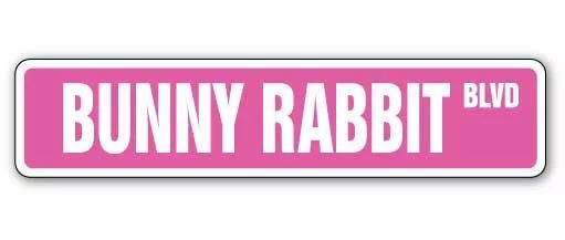BUNNY RABBIT Street Sign easter white lover cage hare| Indoor/Outdoor | Walmart (US)