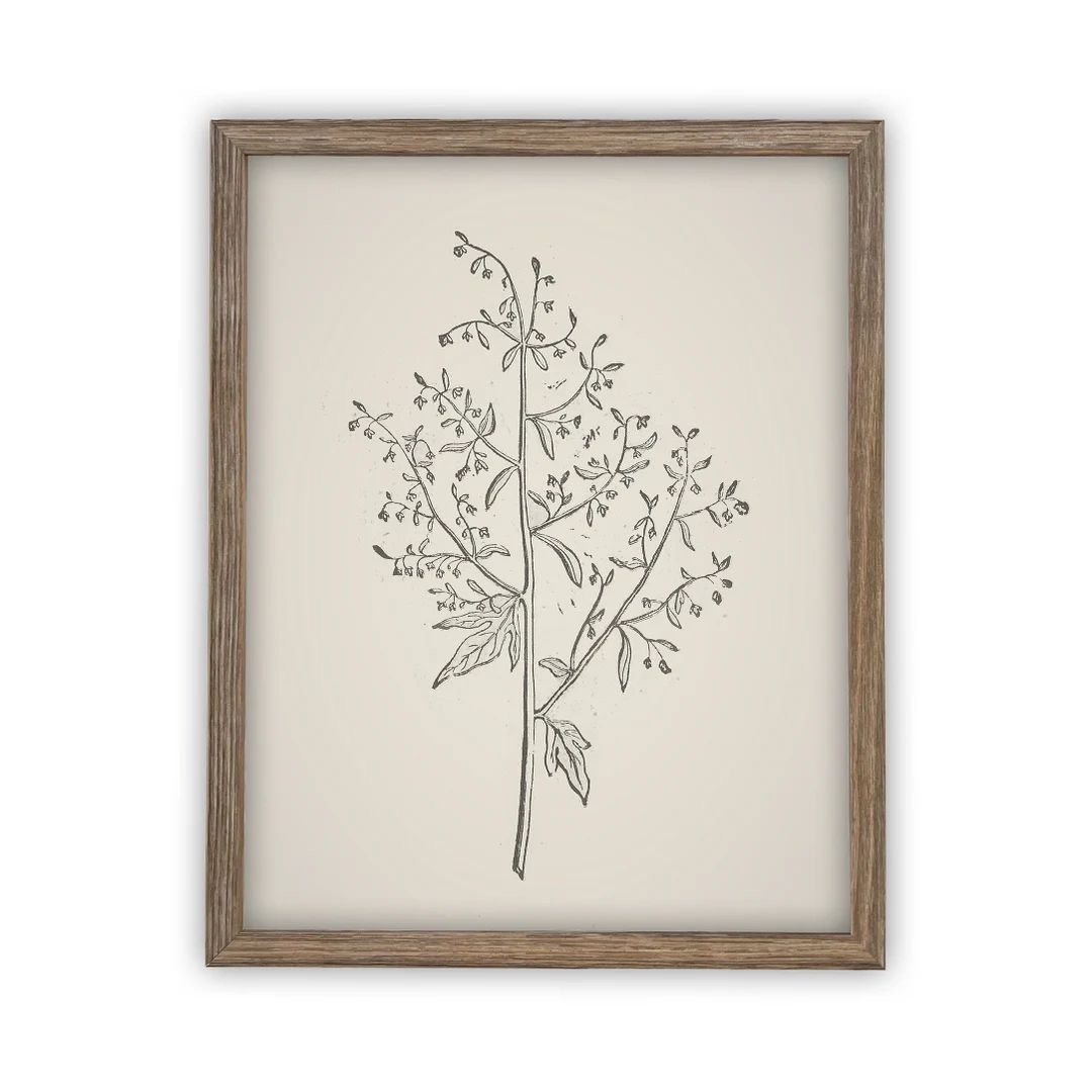 Vintage Framed Canvas Art // Framed Vintage Print // Vintage Branch Painting // Botanical Sketch ... | Etsy (US)