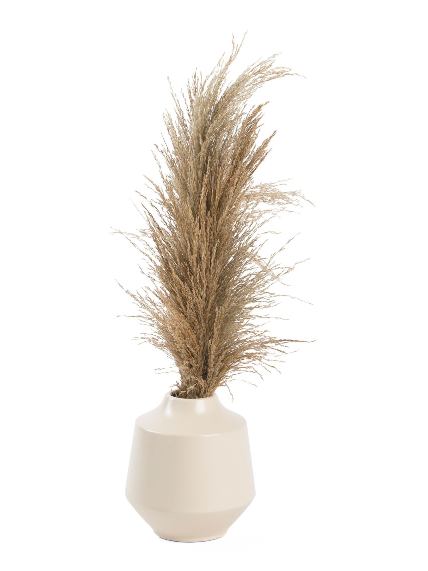 Pampas Grass In Beveled Vase | TJ Maxx