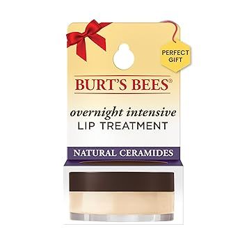 Burt's Bees Overnight Lip Sleeping Mask Stocking Stuffers, Exfoliating Scrub Restores, Hydrates &... | Amazon (US)