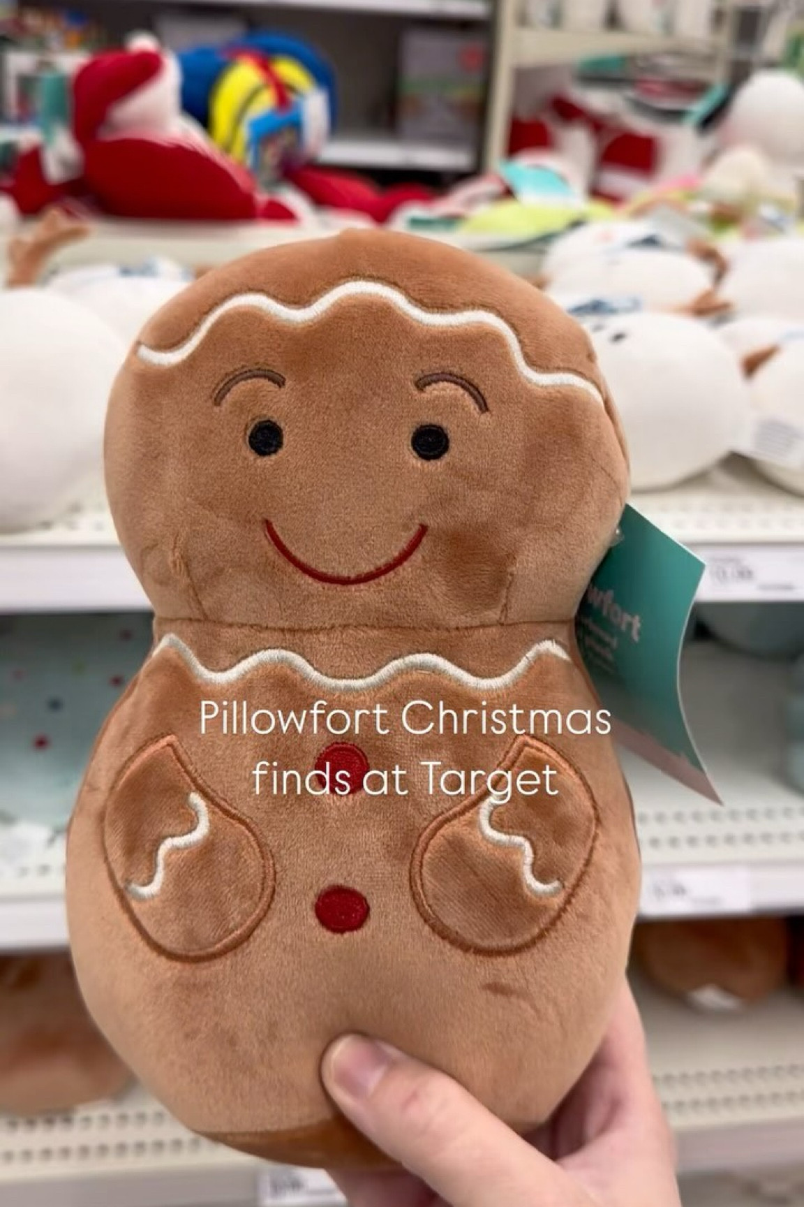 Pillowfort Christmas plushes, a play tree and a plush mailbox to Santa for your littles! 🎄🎅❄️☃️

✨follow first so Instagram will let you get my DM and comment “LINK” to get a direct link sent to you! ✨ 

#Targetfinds #targetrun #targetstyle #target #targethaul #targetmom #targetaddict #targetdoesitagain #ltkfind #ltkunder50 #newattarget