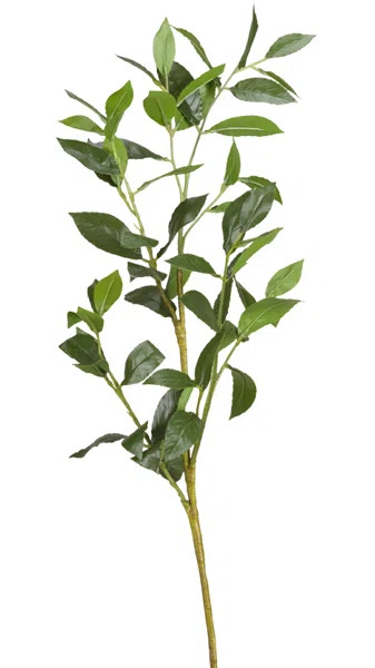 Bay Leaf Arrangement | Wayfair North America
