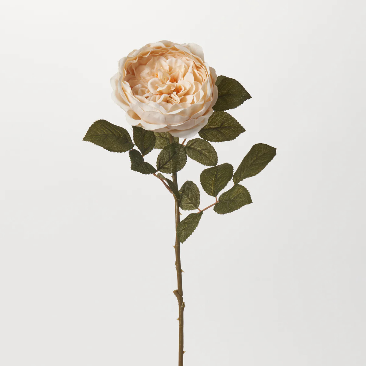 Lifelike Full Bloom Cream Open Garden Rose Single Faux Floral Stem Spray - 26" | Darby Creek Trading