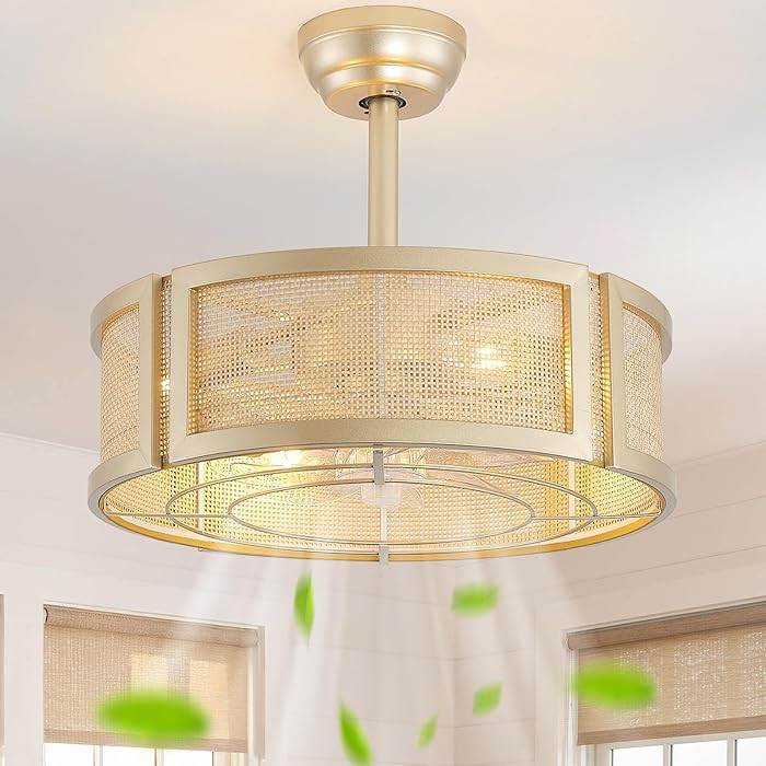 20" Boho Ceiling Fans with Lights Fandelier Ceiling Fan with Light | Amazon (US)