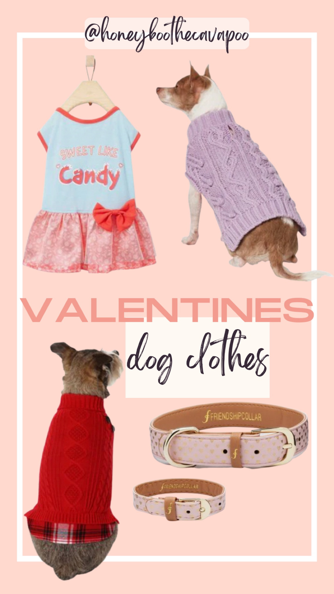 Dog must haves 
Pet favorite 
Valentine 
Dog clothes 
#pets #petfinds 

#LTKGiftGuide #LTKsalealert #LTKSeasonal