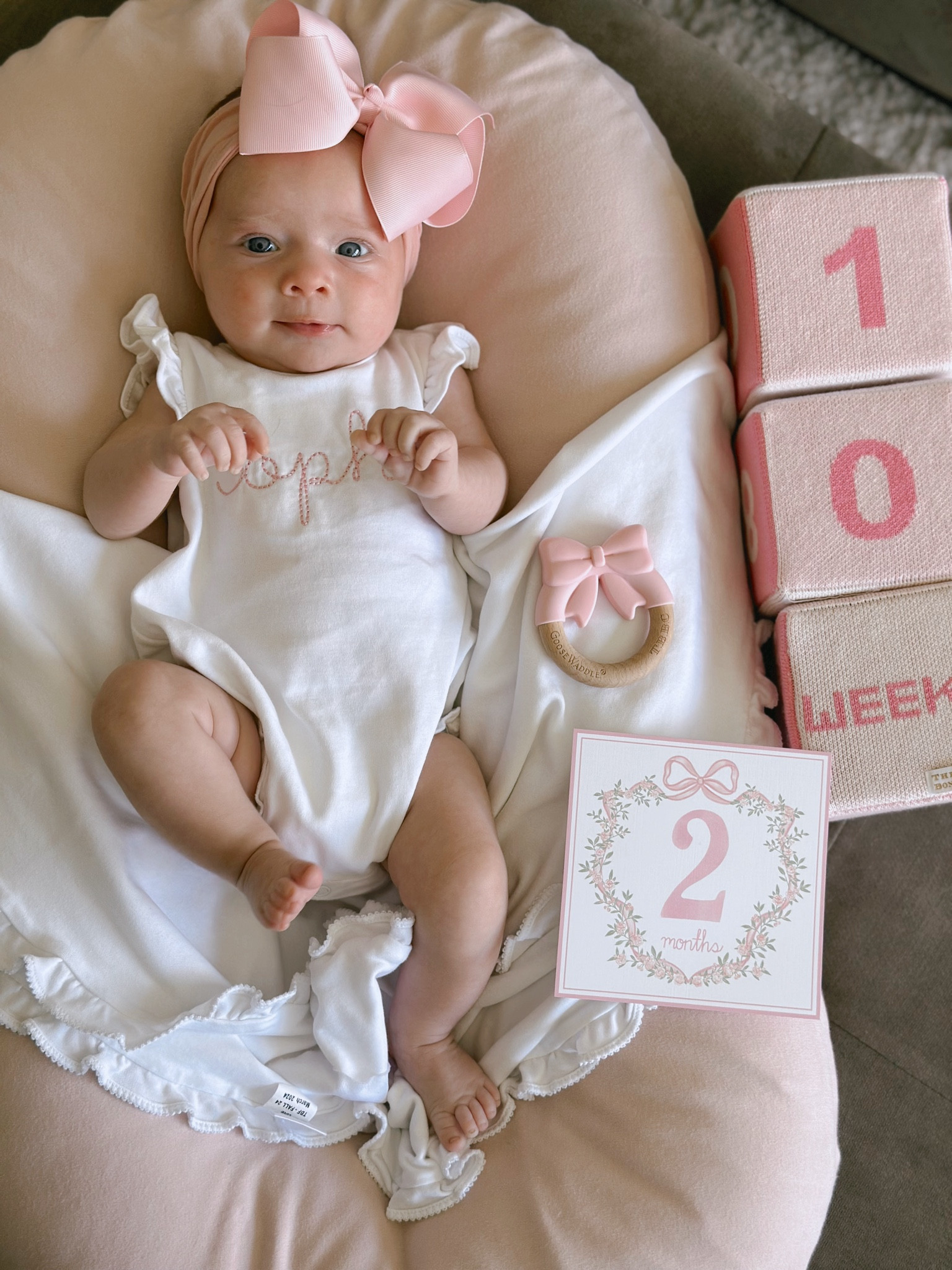 Baby girl milestone photo, embroidery ruffle onsie. Milestone monthly cards



#LTKBaby #LTKBump #LTKFamily