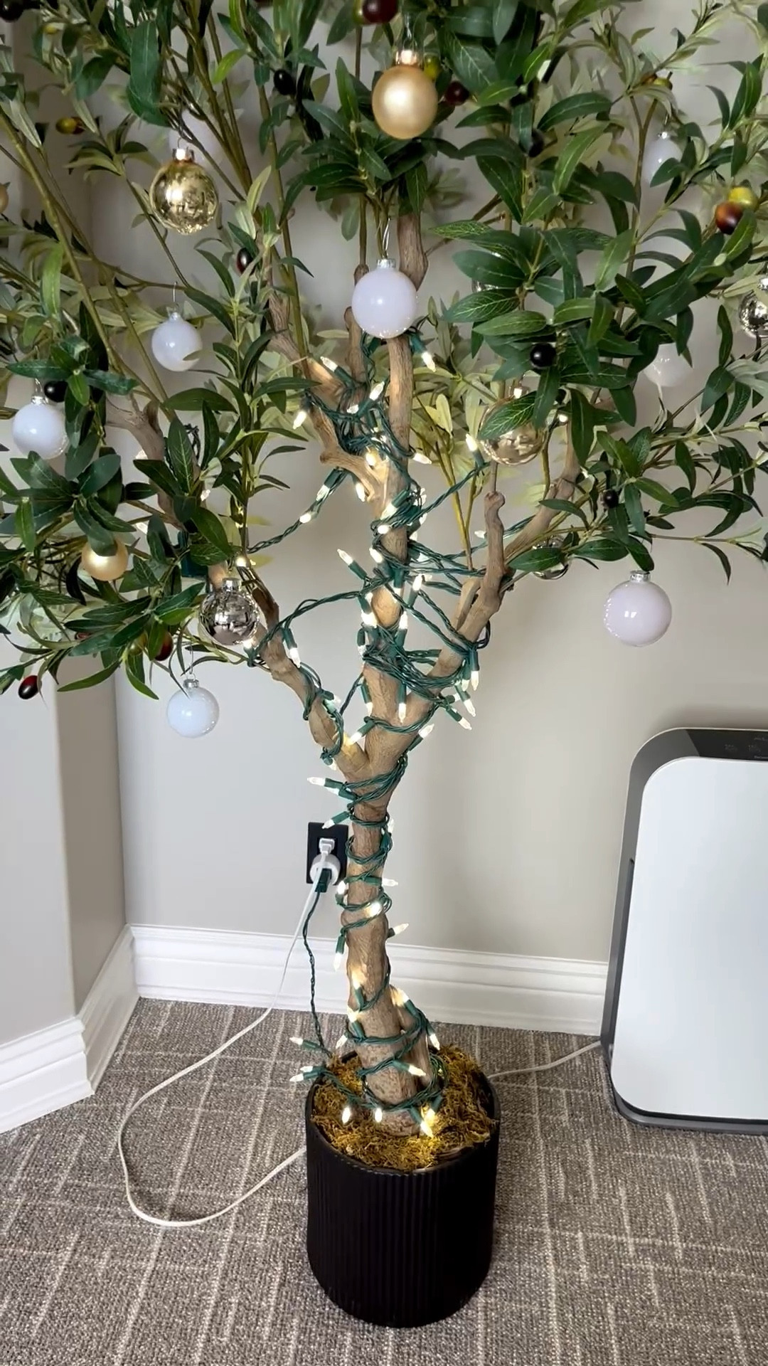 Holiday Decor for the Olive tree. What do we think? 🤷🏻‍♀️

#LTKCyberWeek #LTKHoliday #LTKGiftGuide