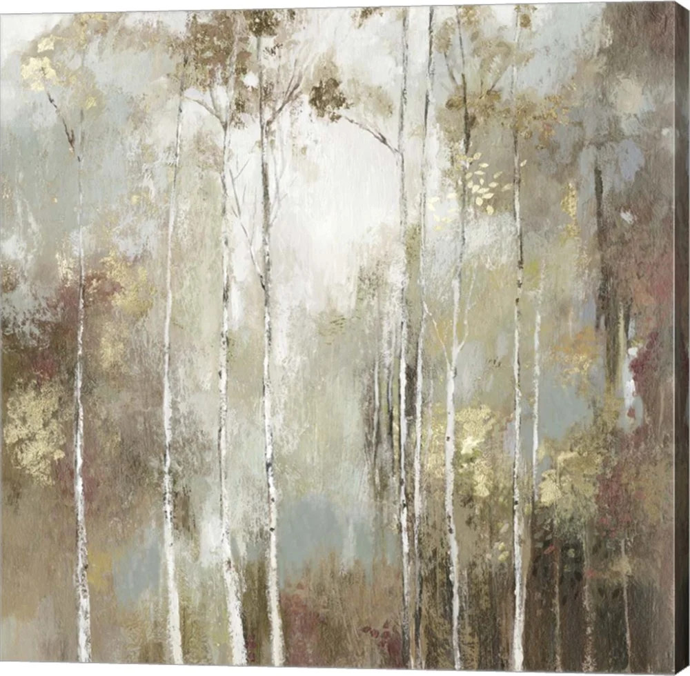 Fine Birch I by Allison Pearce, Canvas Wall Art, 24W x 24H | Walmart (US)