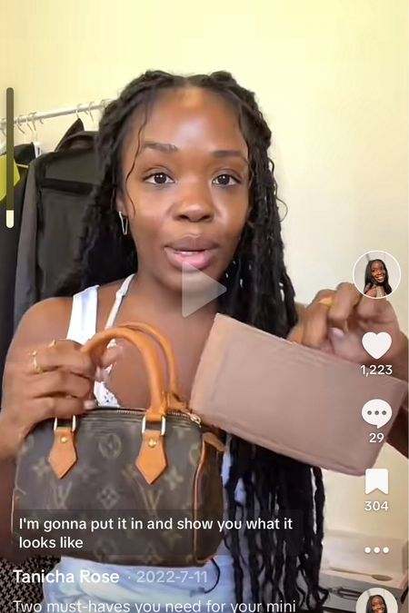 Louis Vuitton organizer linked below!