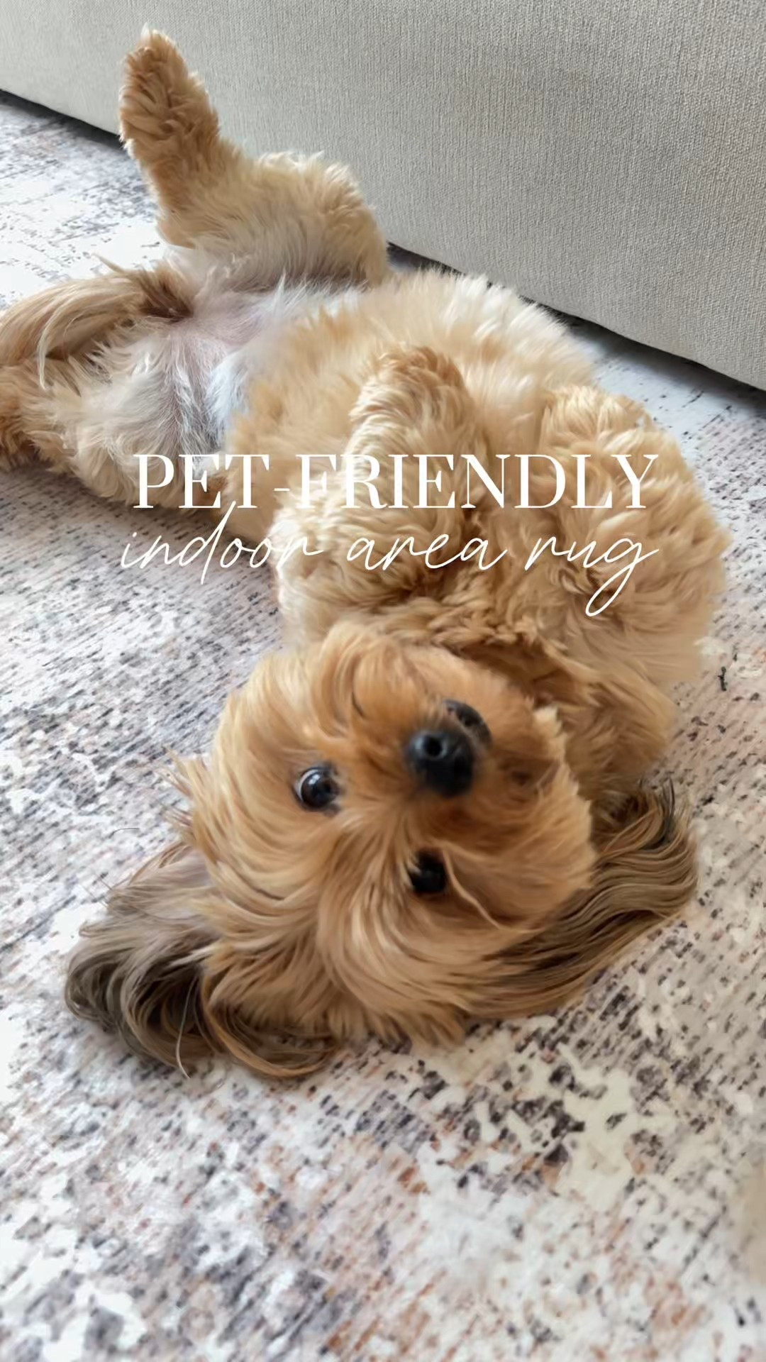 Nothing beats a fresh, cozy rug to instantly refresh your space. 🛋️

Rug details:
Style: Halo Modern Abstract
Color: Beige
Size: 8x10

✔ Stain-resistant
✔ Machine washable
✔ Non-slip backing
✔ Pet-friendly

#arearug #cozyhome #bedroominspo #neutralspaces #homedecor #rug #washablerugs #bedding #neutraldecor #homestyle #dogsofinstagram

#LTKSaleAlert #LTKHome #LTKPets