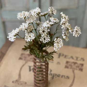 Fennel Flower Bundle White | Purple Rose & Co