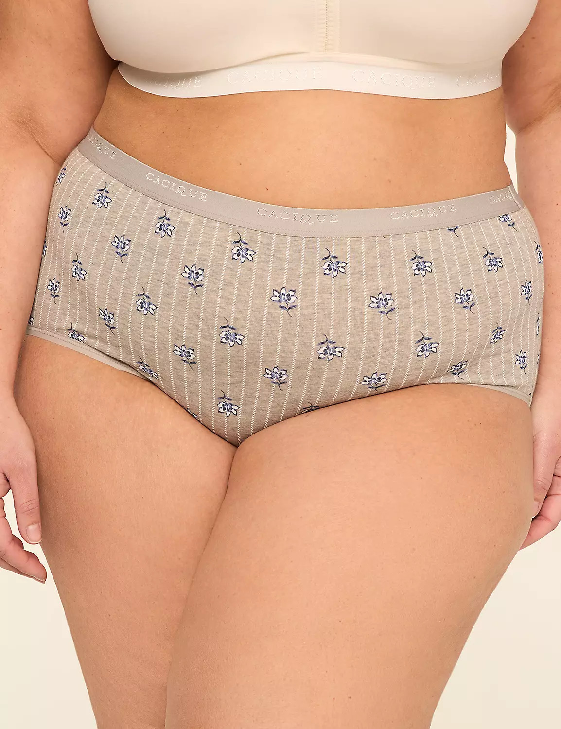 Cotton Full Brief Panty | Lane Bryant (US)