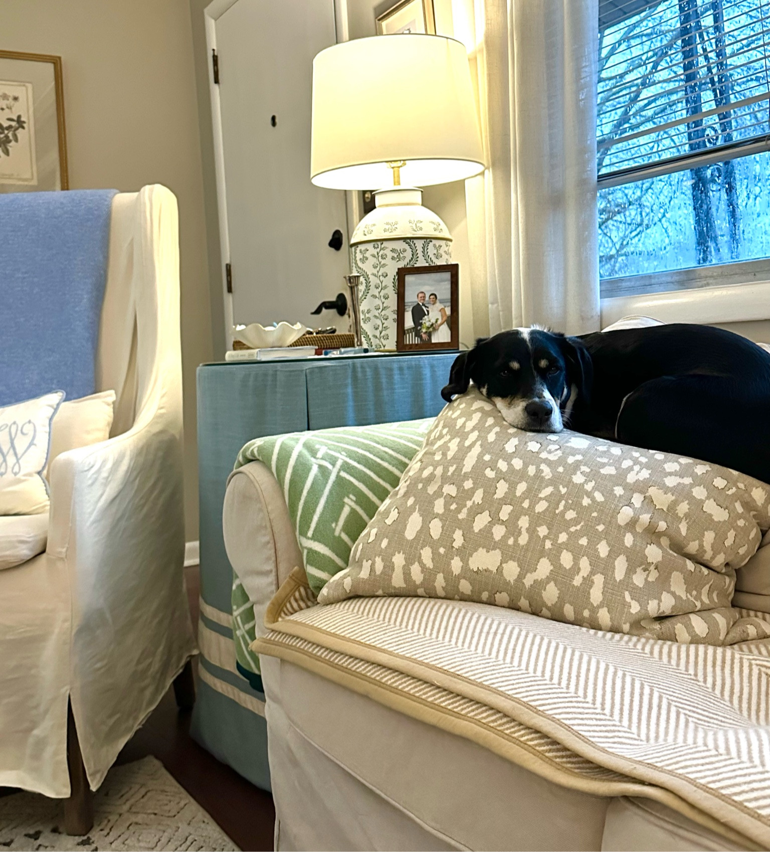 Chappy Wrap’s biggest fan taking advantage of the gloomy weather and proximity to comfy blankets when the humans aren’t using them! 

#LTKhome #LTKfindsunder100