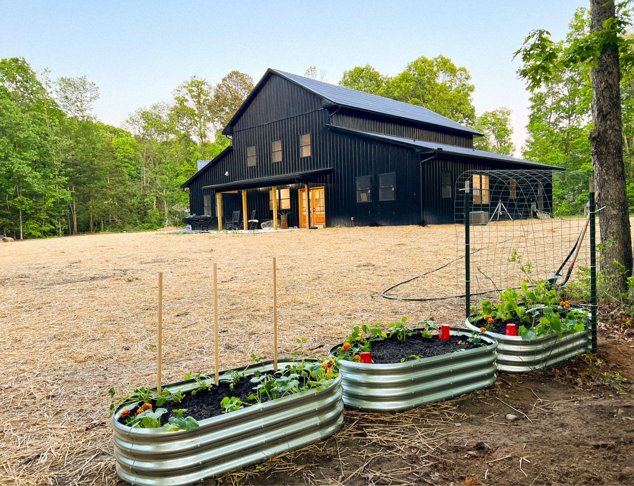 AMAZON STEAL 🍅🫑🌶️🥒SNATCH UP THESE GARDEN BOXES ON SALE!!! 

#LTKSeasonal #LTKSaleAlert #LTKHome
