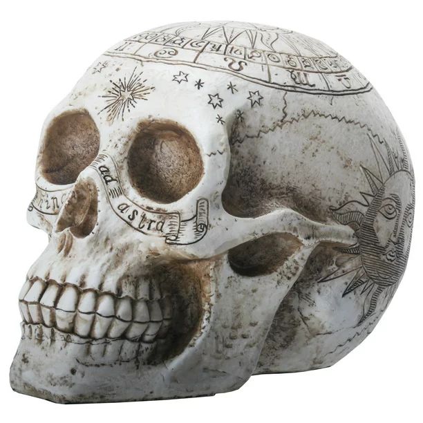 Carved Design Astrology Symbols Human Skull Head Halloween Figurine Decoration | Walmart (US)