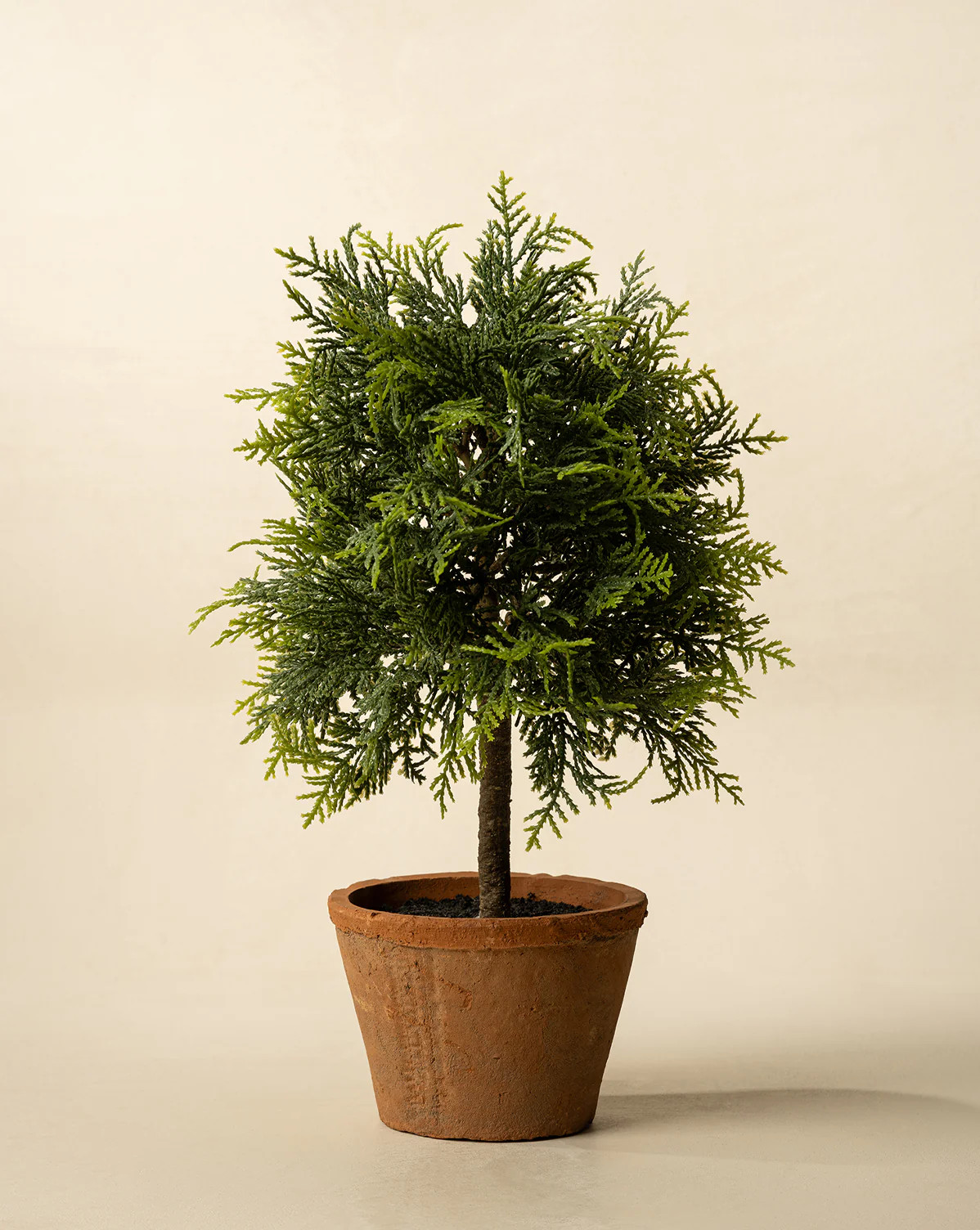 15.5" Cypress Faux Potted Topiary | McGee & Co. (US)