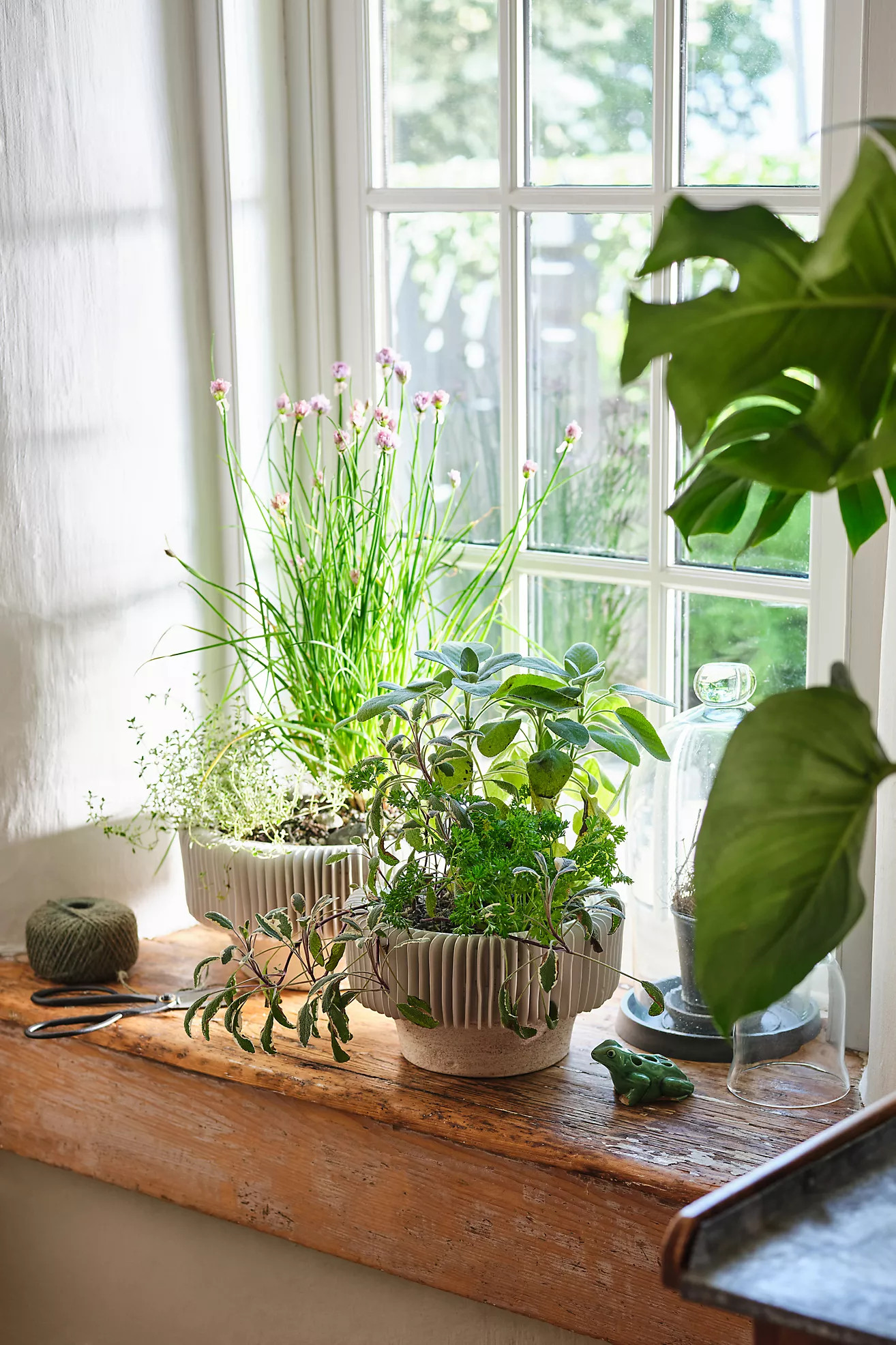 Chiara Compote Vase | Anthropologie (US)