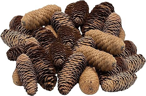 Genuine Real Pinecones - Natural Brown Pine Cones - Fall Autumn Thanksgiving and Christmas Decora... | Amazon (US)