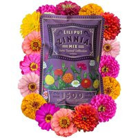 Zinnia Seeds - Lilliput Mixture | Etsy (US)