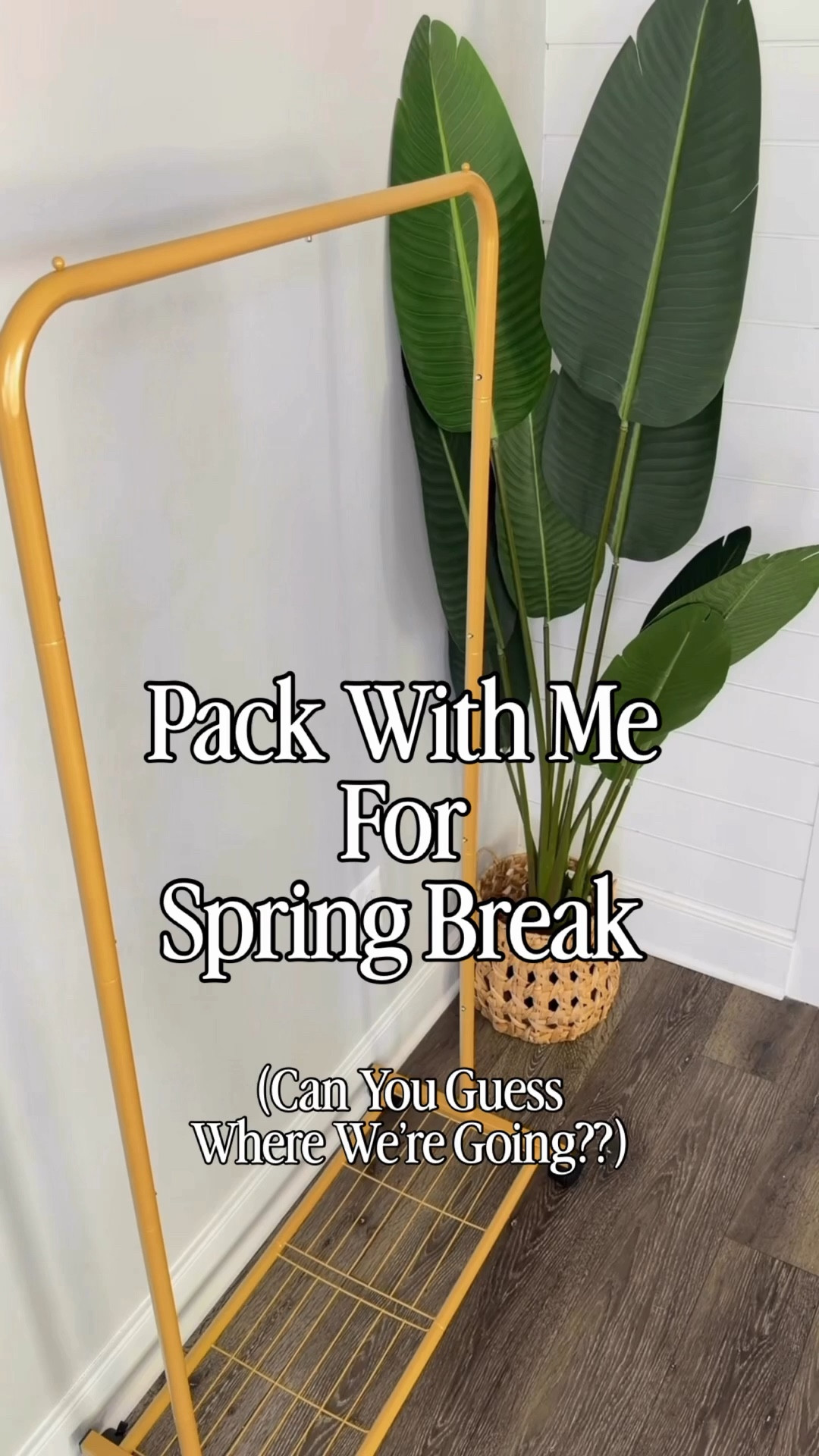 Pack with me for spring break! I’m so excited to wear all of these swimsuits,  casual outfits & dresses! Everything is a mix of high end designer pieces with @amazon @target & @walmart! I love high/low options! 

What to pack for a tropical spring break trip, what to wear on vacation, spring break looks, high end & budget friendly fashion looks for women over 40

#springbreakfashion #springbreak

#LTKTravel #LTKSwim #LTKOver40