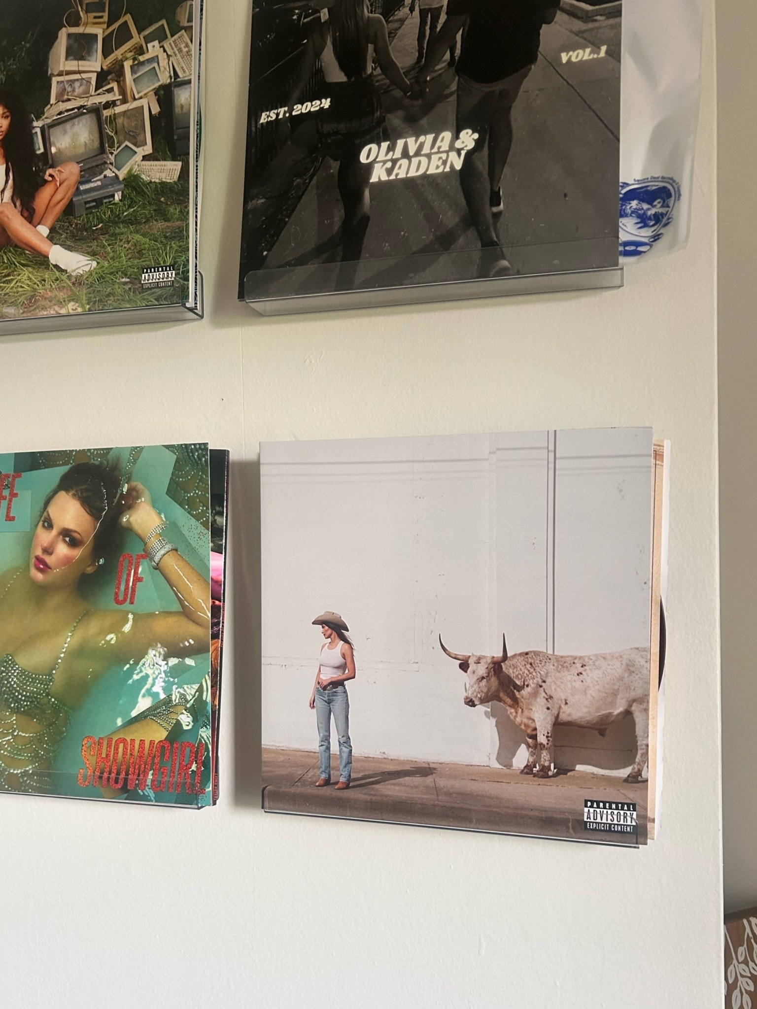 Middle of Nowhere by Kasey Musgraves -
Vinyl collection wall display , record collection

#LTKHome