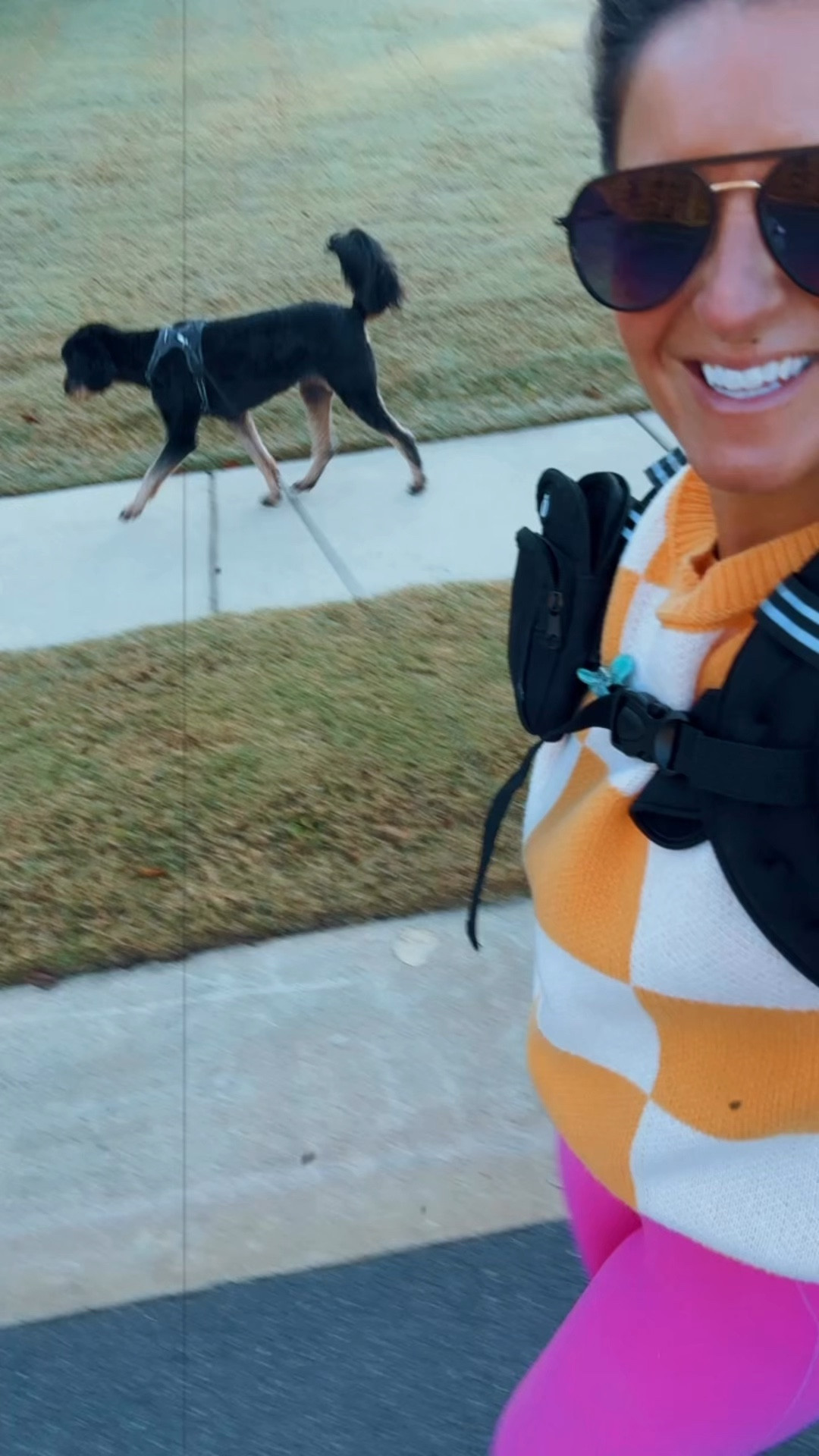 It’s the daily step count for me!!! #ltkdog

#LTKFitness #LTKActive