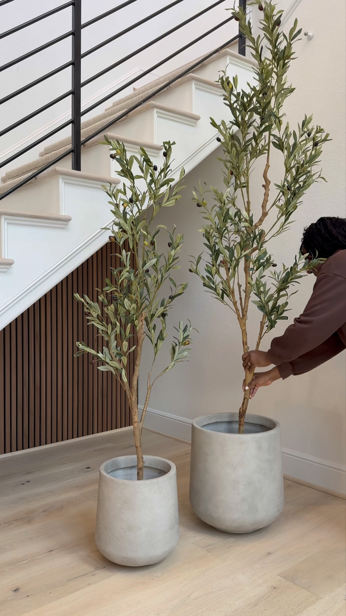 I love styling 5 foot tree next to 7 foot. I just love the scaling! 😍 … Used the large and medium size planters  for this look! 🤎

#LTKSale
#LTKHome #LTKStyle