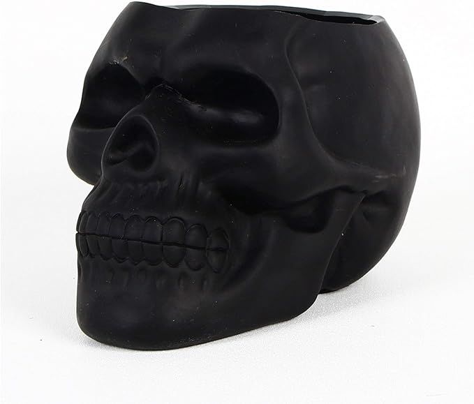 Amazon.com : Dashamce Skull Planter Dish Flower Pot Container Box Halloween Skull Candy Bowl Desk... | Amazon (US)