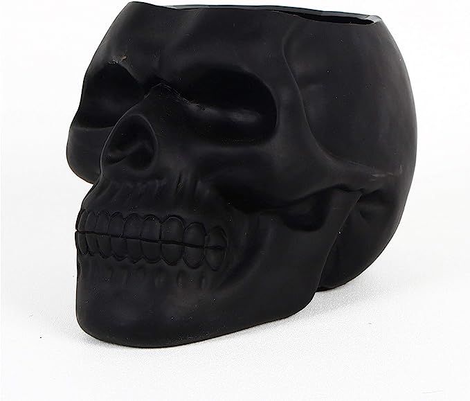 Dashamce Skull Planter Dish Flower Pot Container Box Halloween Skull Candy Bowl Desk Decoration | Amazon (US)