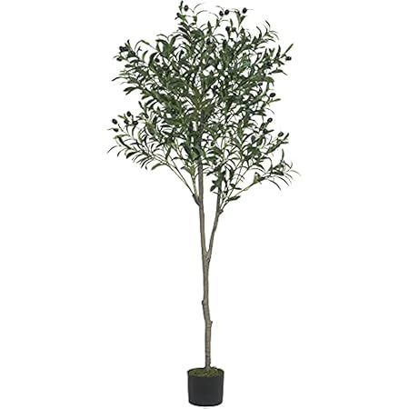 VIAGDO Artificial Eucalyptus Tree 6ft Tall 506 Silver Dollar Leaves Plants Fake Eucalyptus Stems Sil | Amazon (US)