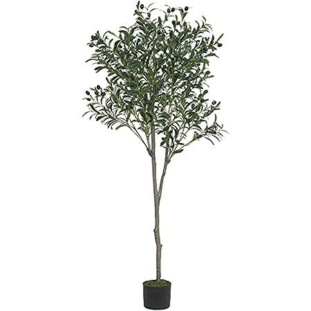 VIAGDO Artificial Eucalyptus Tree 6ft Tall 506 Silver Dollar Leaves Plants Fake Eucalyptus Stems Sil | Amazon (US)