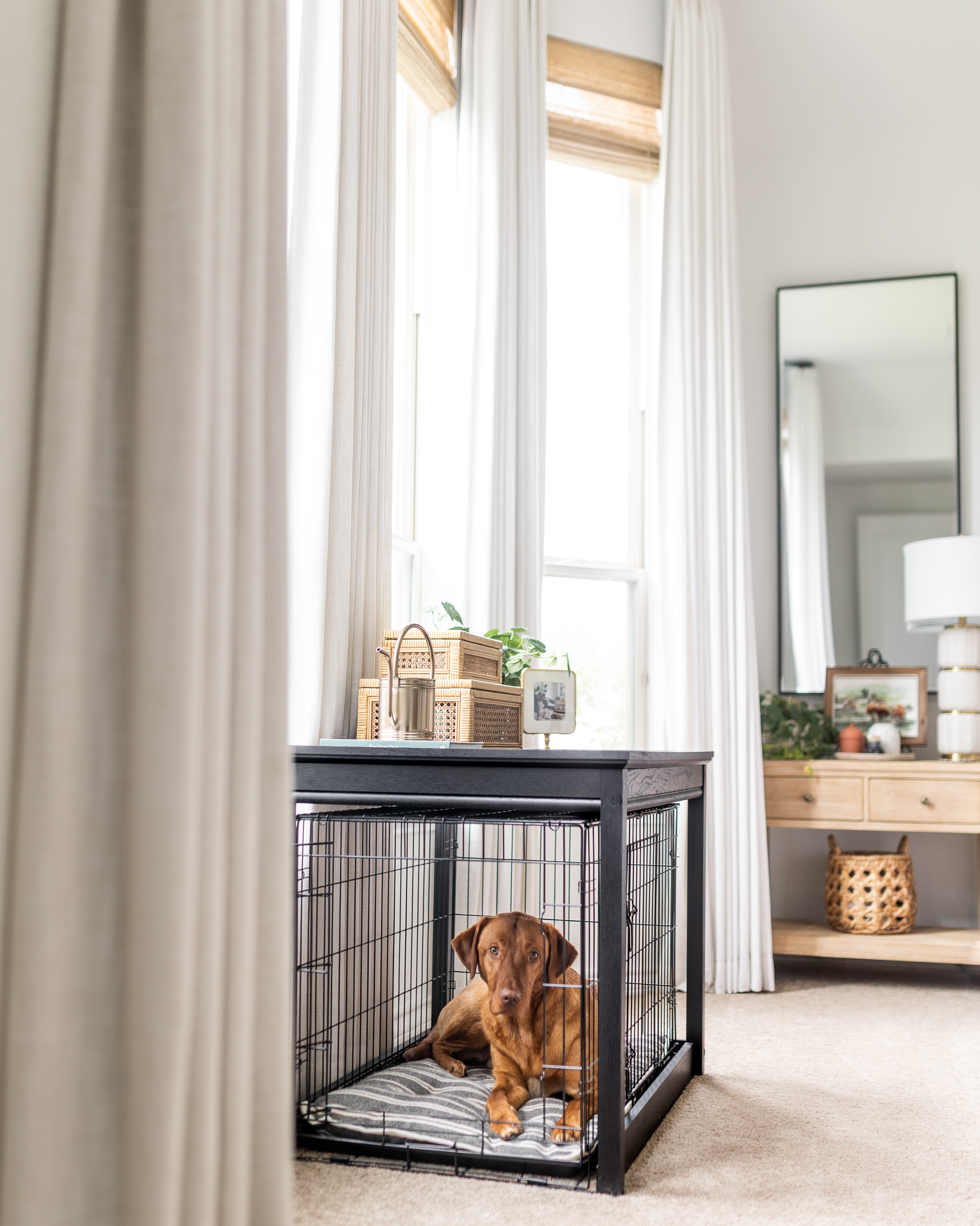 Making room for the dogs without sacrificing the look of our home 🖤

A crate cover is such a simple way to make a dog crate feel more like furniture and less like a kennel. I love that these covers add function while giving you a surface to style with the things you love.

I added a few personal touches on top — woven boxes that hold some of the dogs' essentials, a little greenery, a photo, and a book — and now the crate feels like it naturally belongs in the room.

It’s a great option if you want to create a beautiful, dog-friendly home without hiding the things that make it work for your pets. 

 #LTKHome #LTKSaleAlert