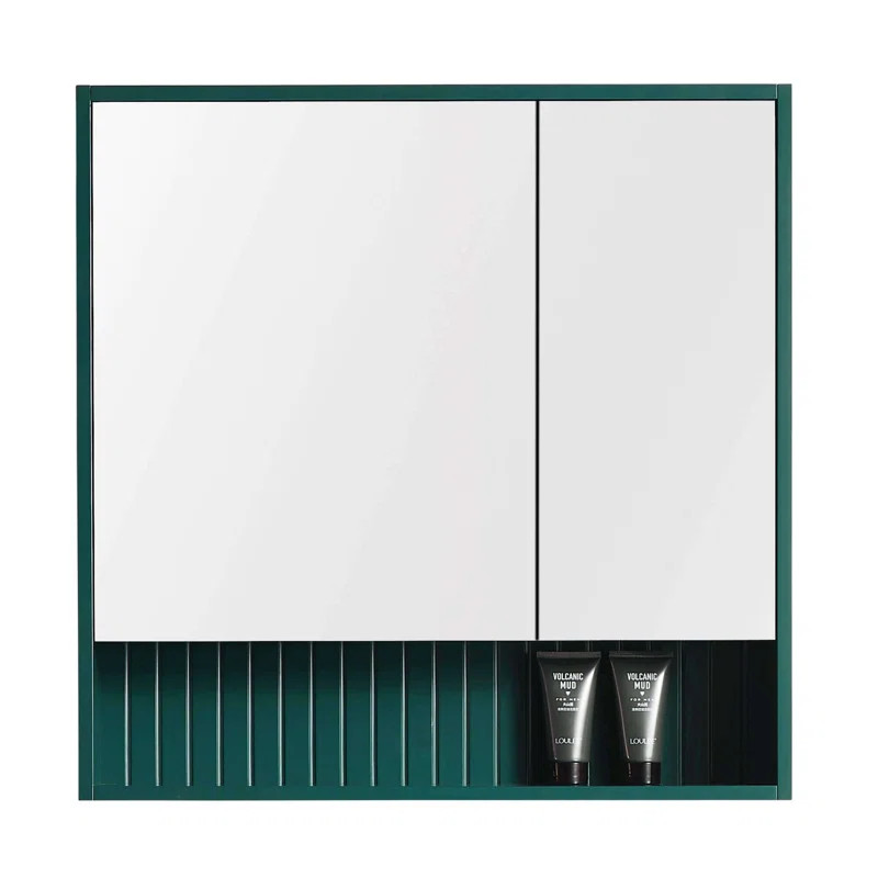 Asahel Surface Mount Framed 2 Doors Medicine Cabinet with 2 Shelves | Wayfair North America